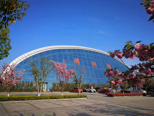 图片13