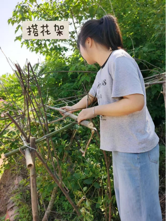 图片8